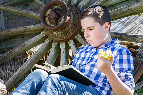 Dyslexie en vrijstellingen VO
